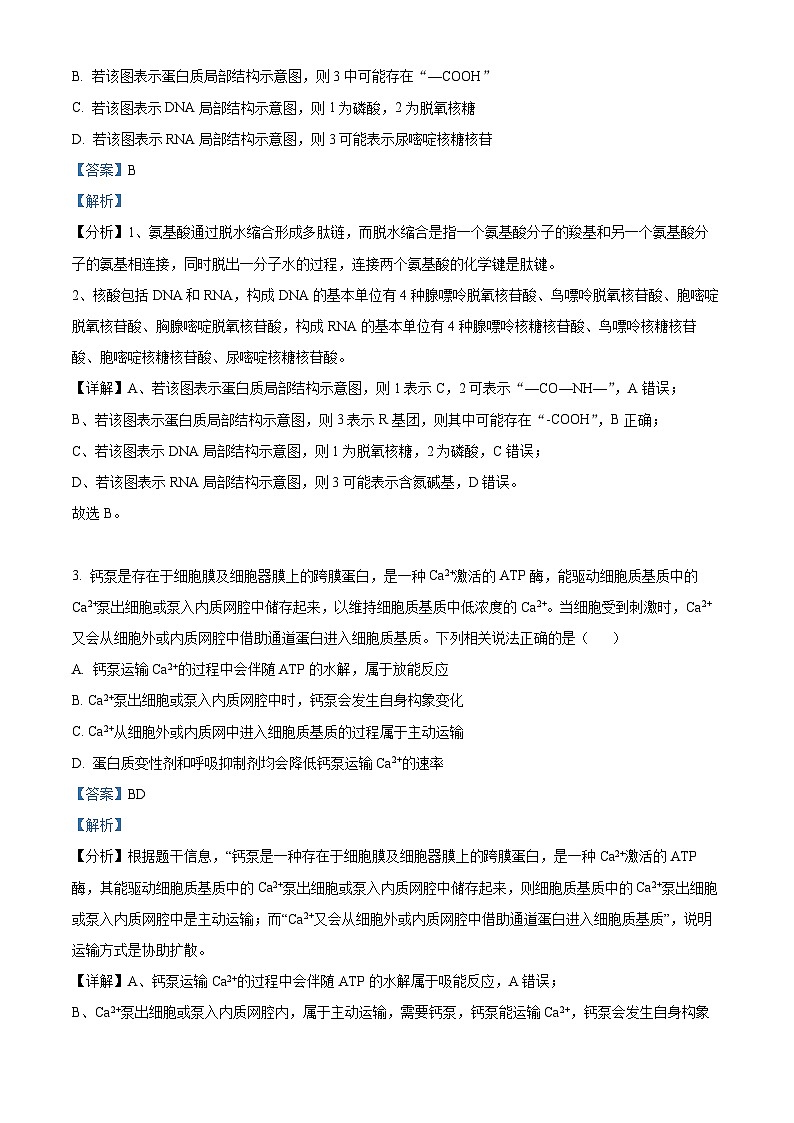 2024届吉林省东北师范大学附属中学高三下学期第5次模拟考试生物试题（解析版）第2页