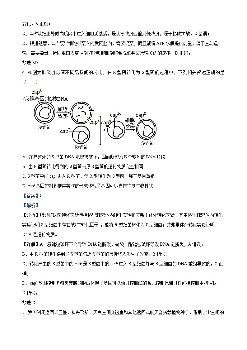 2024届吉林省东北师范大学附属中学高三下学期第5次模拟考试生物试题（解析版）第3页