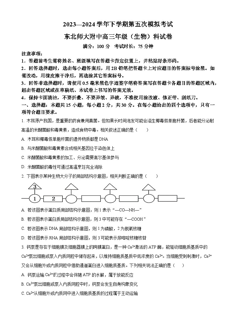 2024届吉林省东北师范大学附属中学高三下学期第5次模拟考试生物试题（原卷版）第1页