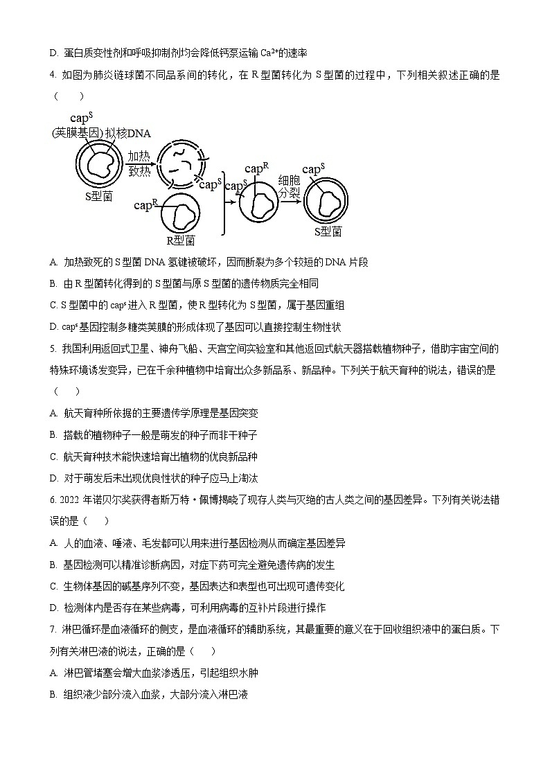 2024届吉林省东北师范大学附属中学高三下学期第5次模拟考试生物试题（原卷版）第2页