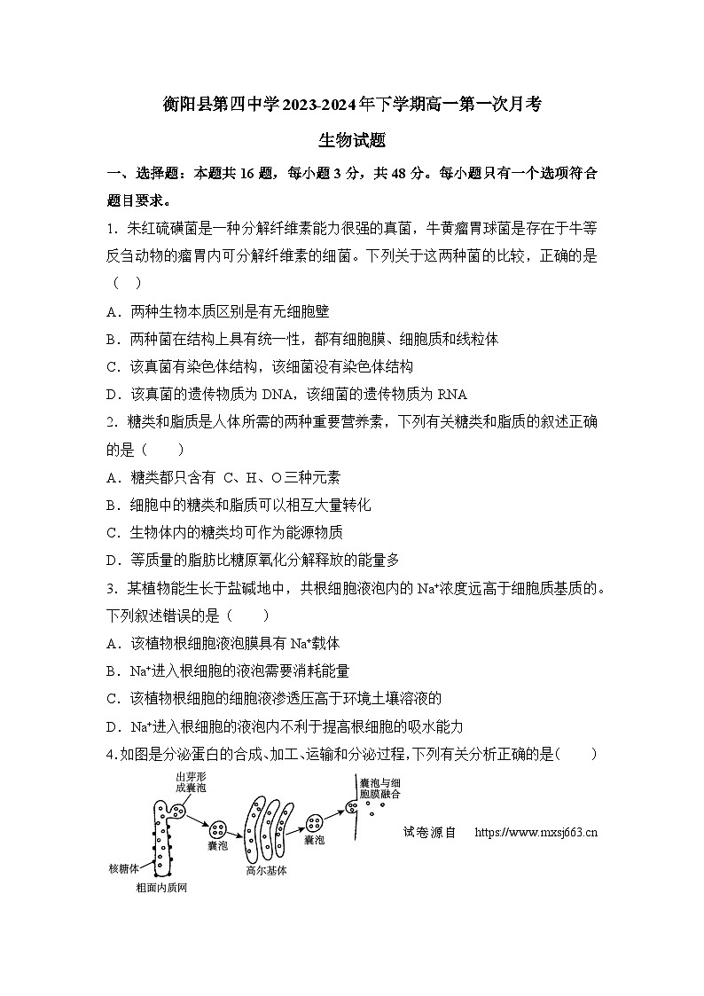 10，湖南省衡阳县第四中学2023-2024年下学期高一第一次月考生物试题01