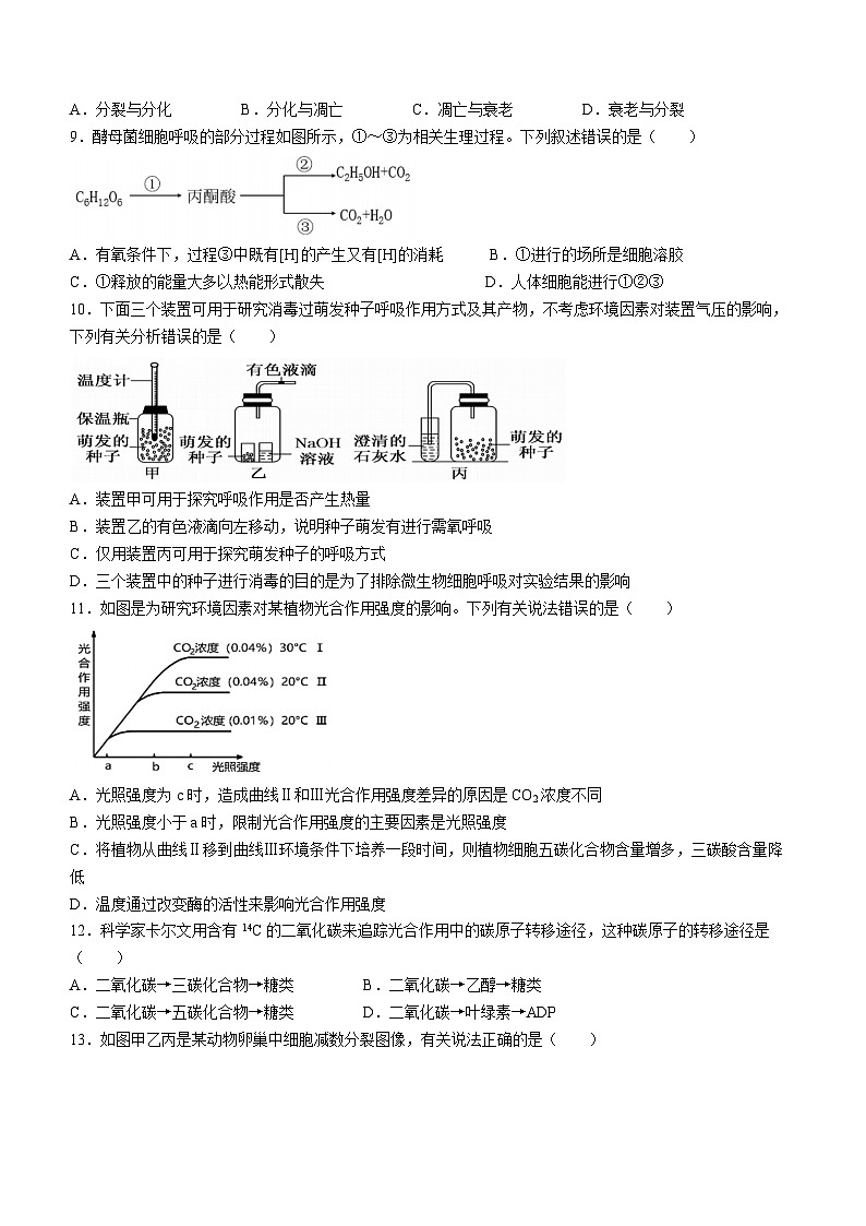 2024温州十校联合体高一下学期5月期中联考生物试题含答案02