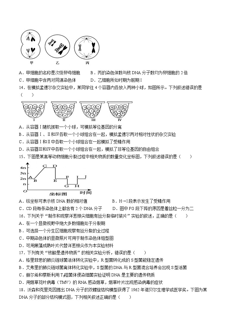 2024温州十校联合体高一下学期5月期中联考生物试题含答案03