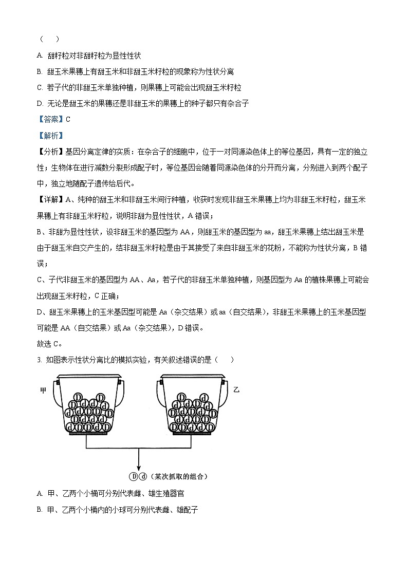 山东省济宁市任城区育才中学2023-2024学年高一下学期期中考试生物试卷（原卷版+解析版）02