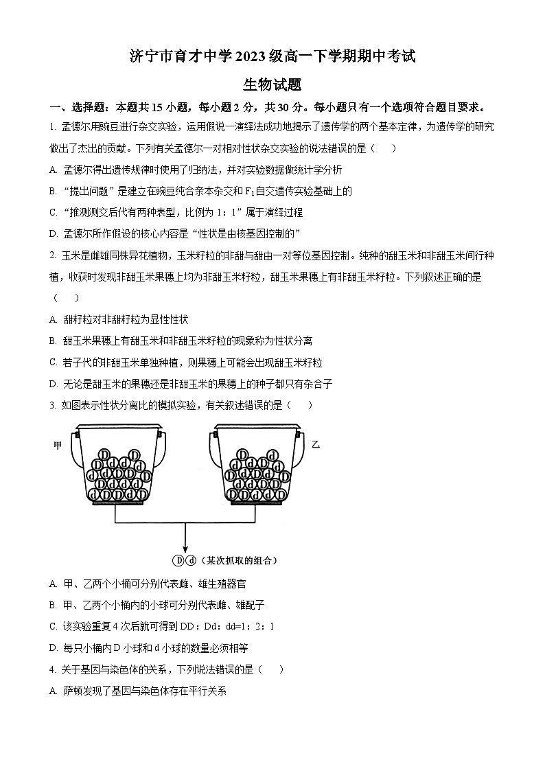 山东省济宁市任城区育才中学2023-2024学年高一下学期期中考试生物试卷（原卷版+解析版）01