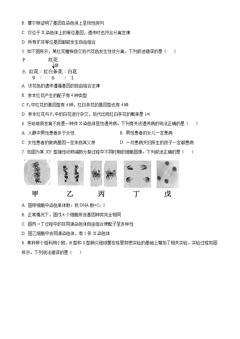 山东省济宁市任城区育才中学2023-2024学年高一下学期期中考试生物试卷（原卷版+解析版）02