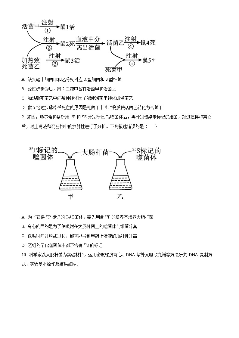 山东省济宁市任城区育才中学2023-2024学年高一下学期期中考试生物试卷（原卷版+解析版）03
