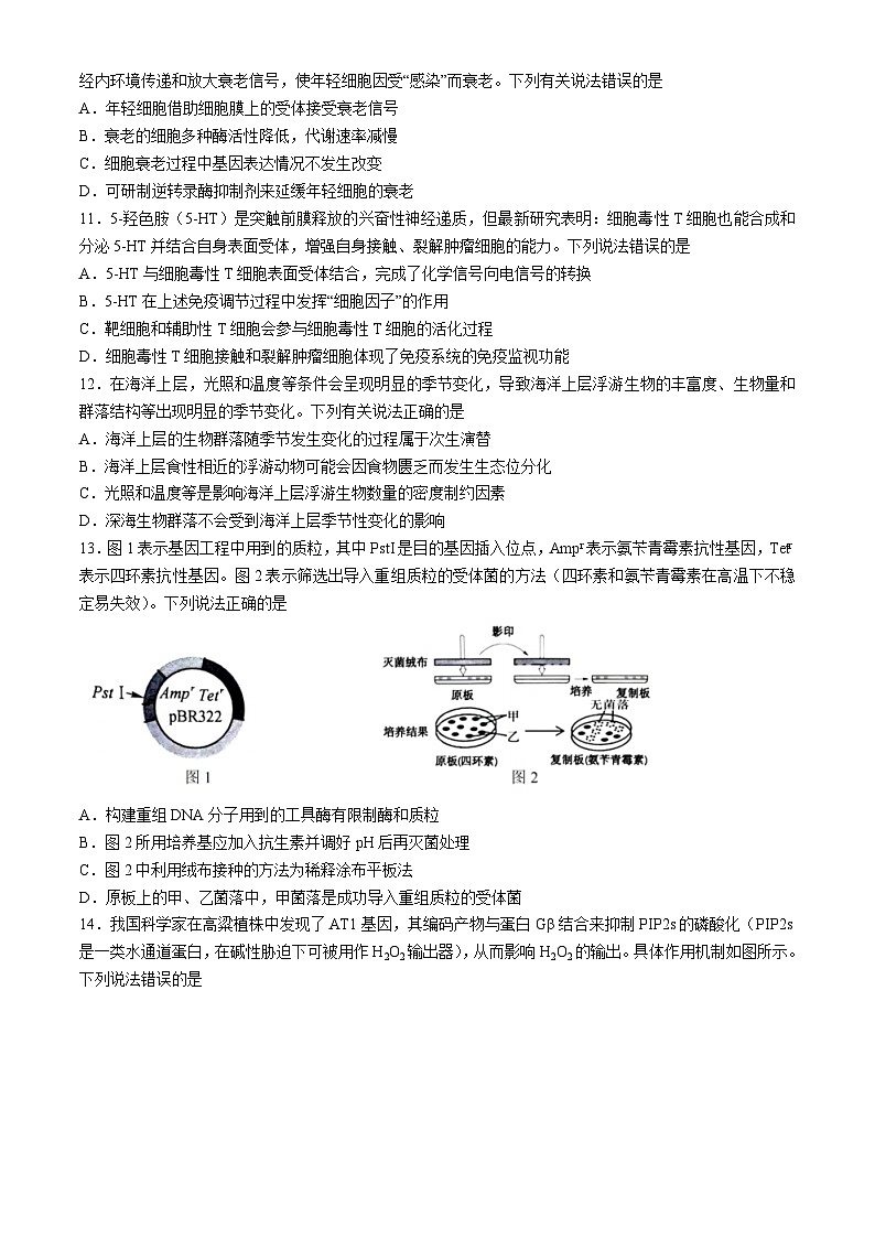2024届广东省佛山市顺德区普通高中高三下学期5月适应性考试生物试题(无答案)03