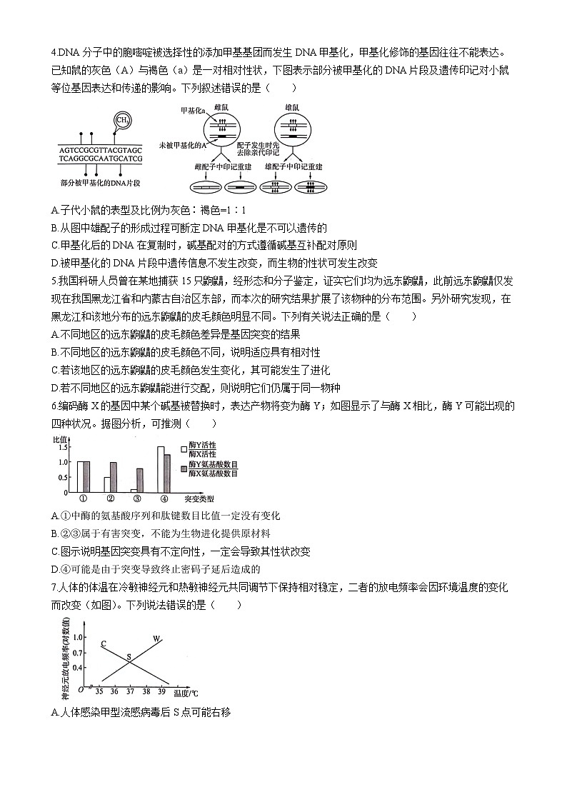 2024届湖南高三仿真模拟考试（五）生物试卷第2页