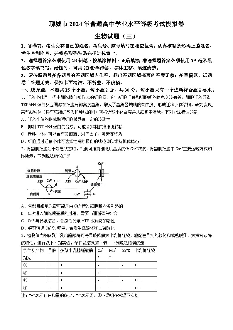 2024届山东省聊城市高三三模生物试题(无答案)01