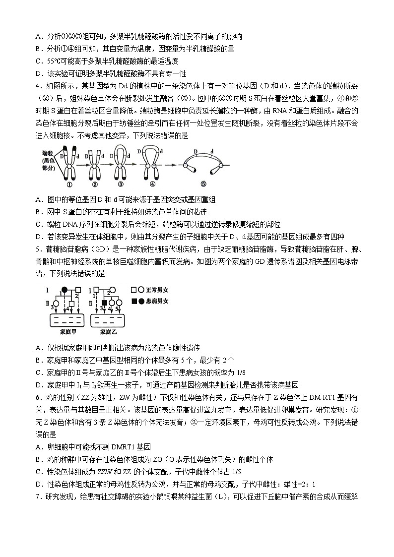 2024届山东省聊城市高三三模生物试题(无答案)02
