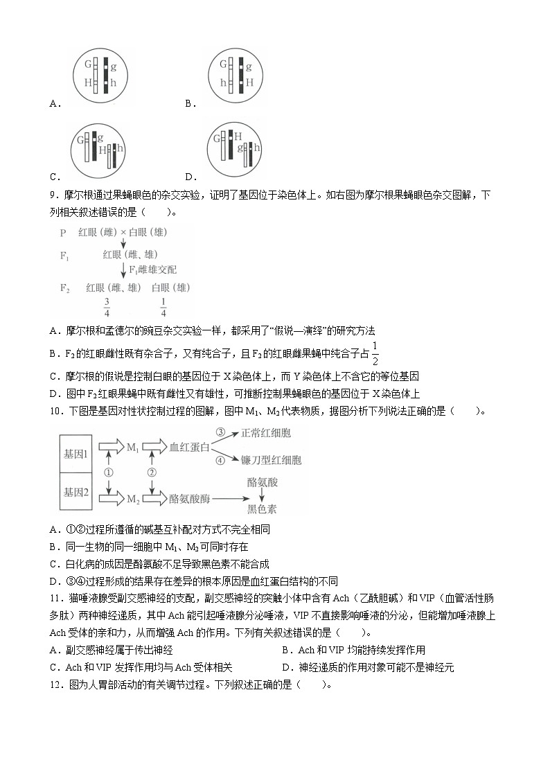 2024年广西名校高考模拟试卷押题卷生物试题03