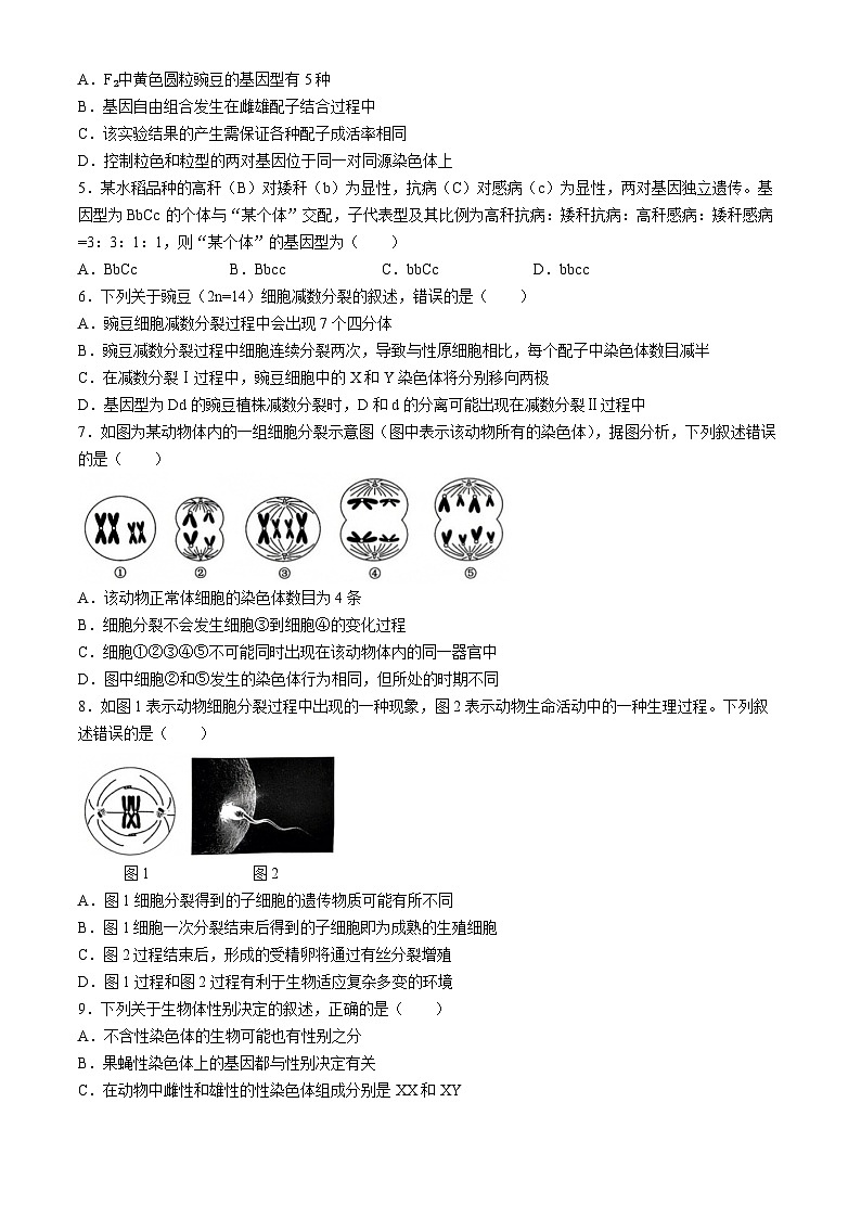 黑龙江省绥化市绥棱县第一中学2023-2024学年高一下学期5月期中生物试题(无答案)第2页