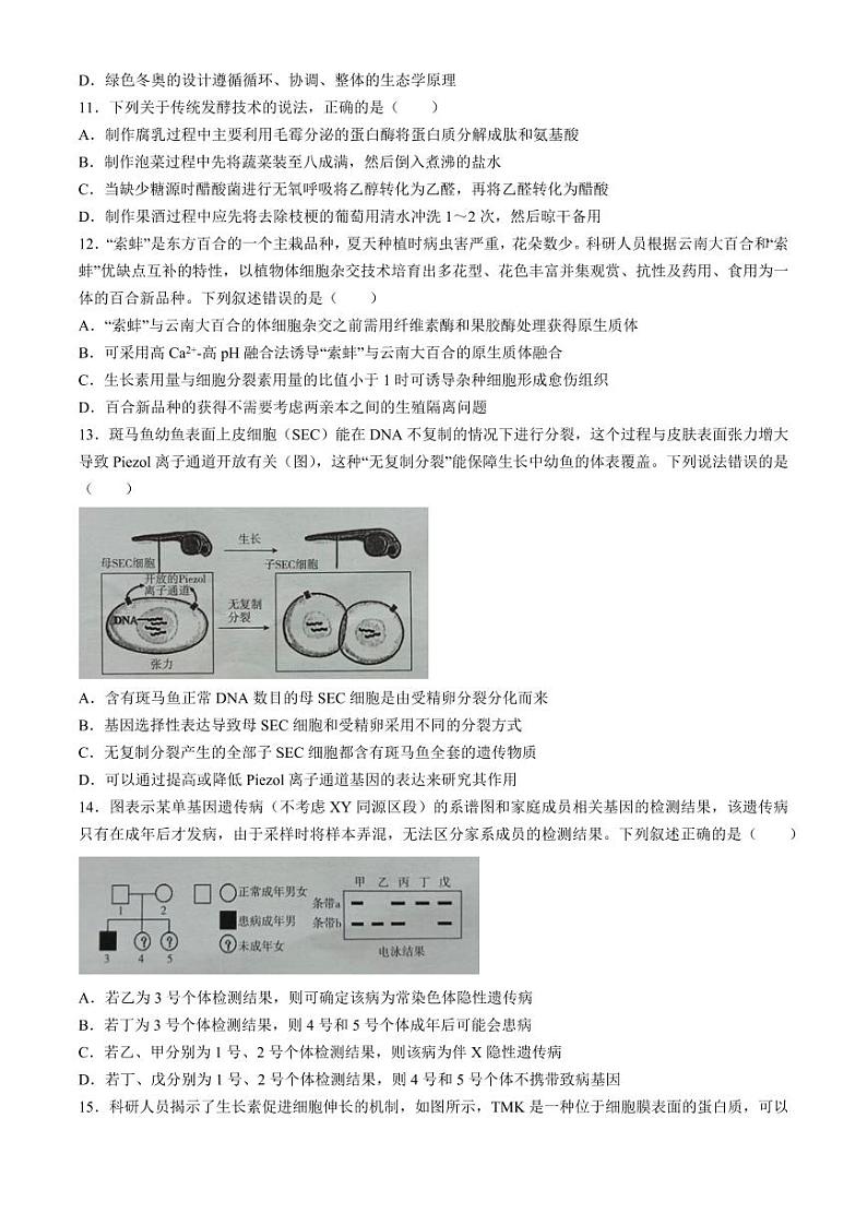 广西2024届高三下学期新教材新高考桂柳信息冲刺金卷（四）生物 Word版含解析第3页