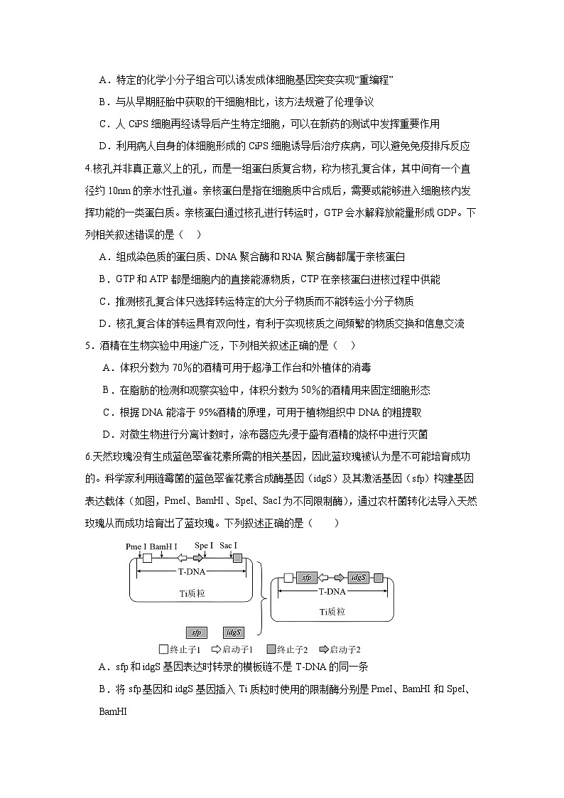 （教研室提供）山东省济宁市泗水县2023-2024学年高二年级下学期期中考试生物试题第2页