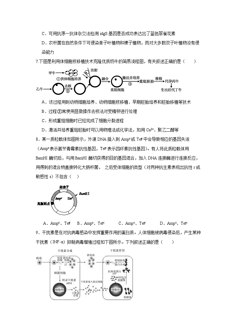 （教研室提供）山东省济宁市泗水县2023-2024学年高二年级下学期期中考试生物试题第3页