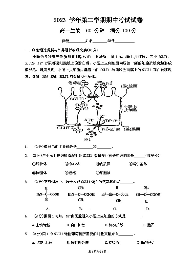 上海市黄浦区大同中学2023-2024学年高一下学期5月期中生物试题01