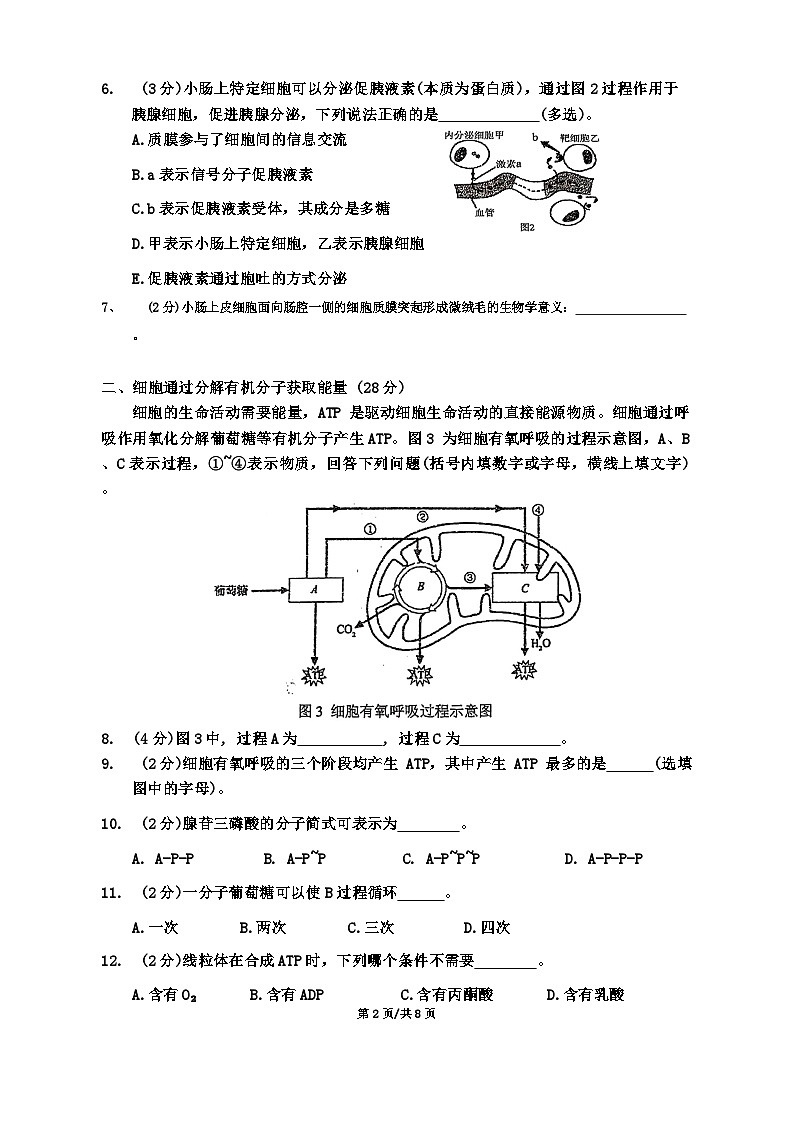 上海市黄浦区大同中学2023-2024学年高一下学期5月期中生物试题02