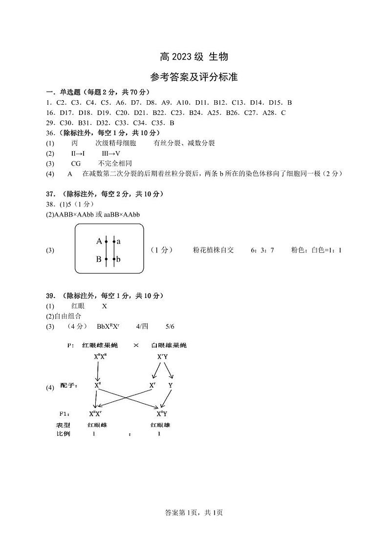 四川省成都市成华区某校2023-2024学年高一下学期期中考试生物试题01