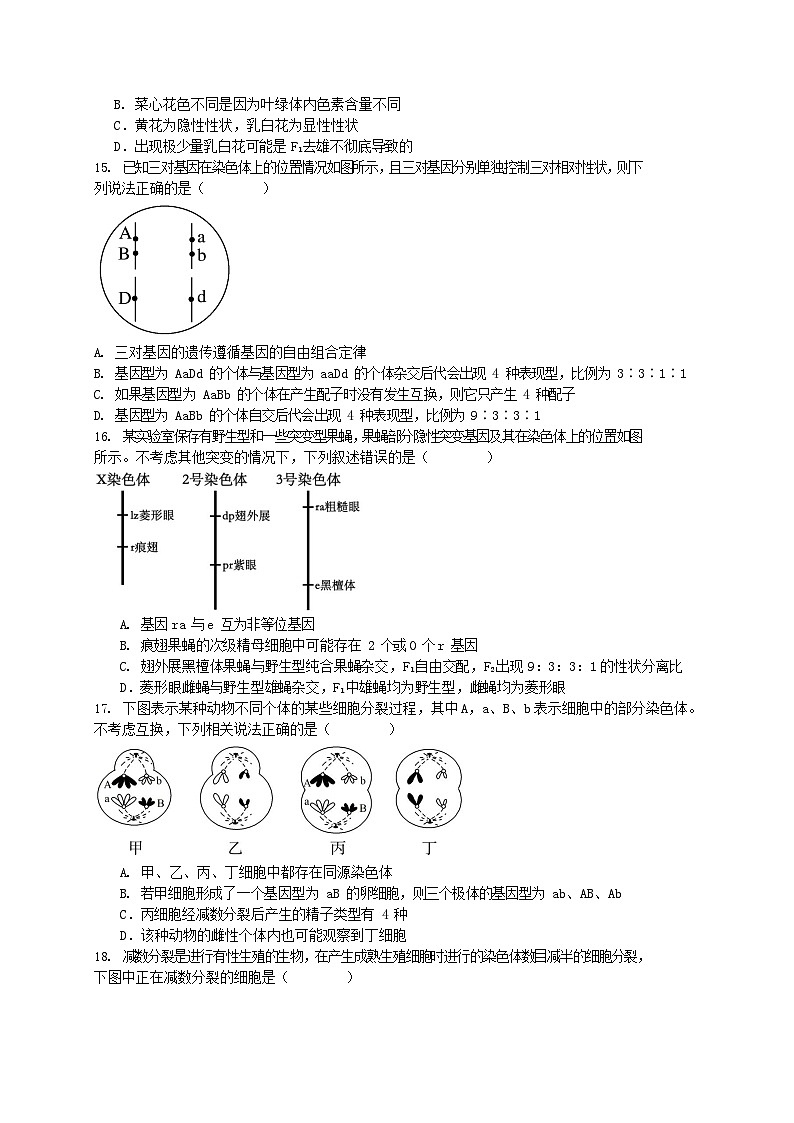 四川省成都市成华区某校2023-2024学年高一下学期期中考试生物试题03