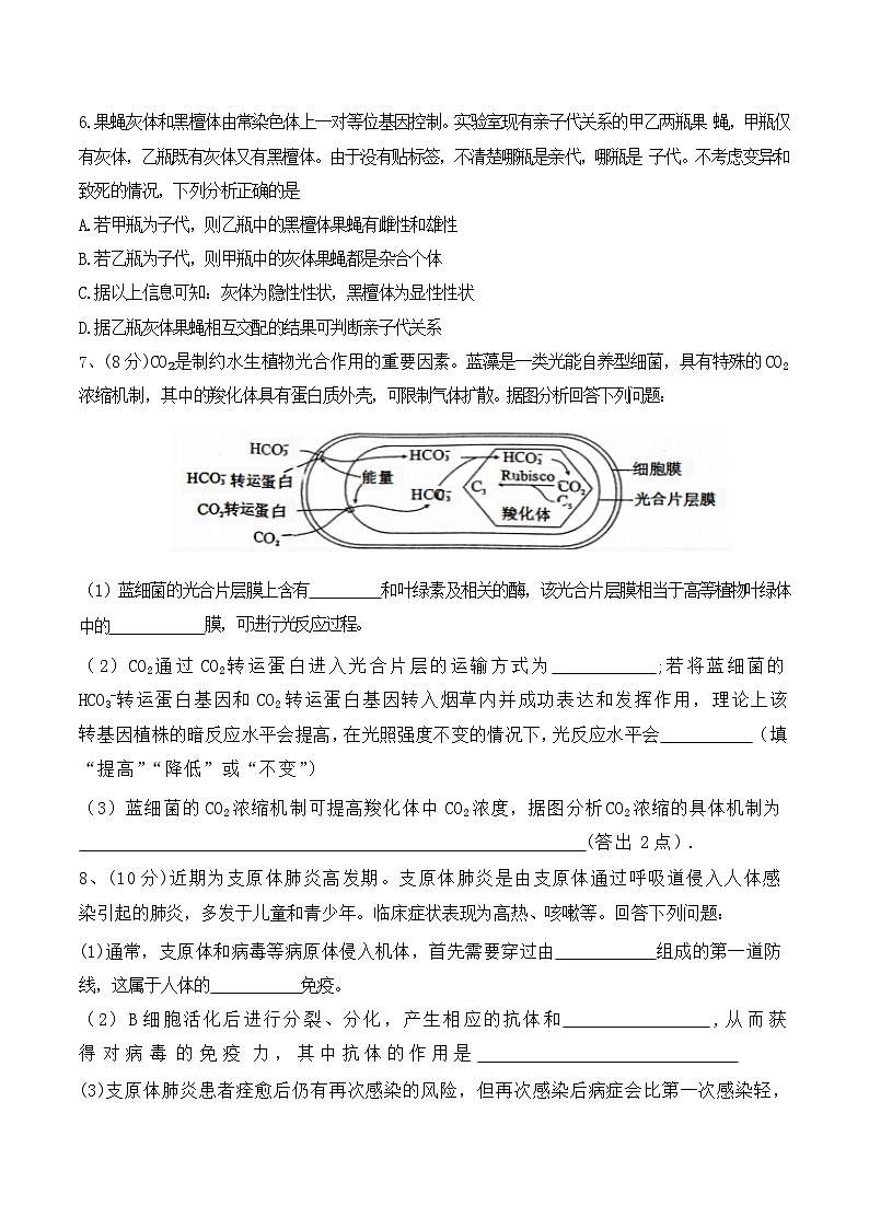 四川省德阳市2023—2024学年高三下学期第三次诊断性考试生物试题02