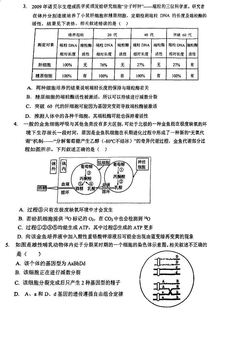 天津市滨海新区普通高中2023-2024学年高三第三次模拟考试生物检测试卷第2页