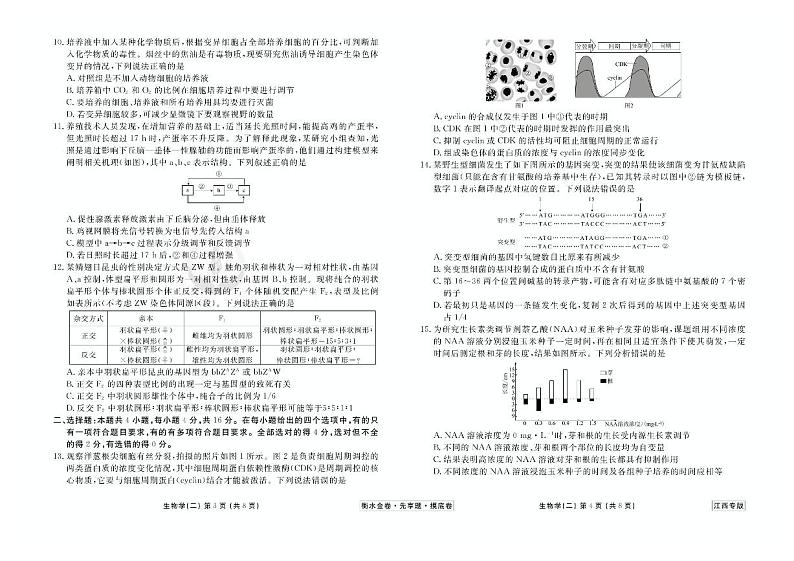 江西省2024年新高考生物【衡水金卷·先享题】摸底测试卷（江西专版）0202