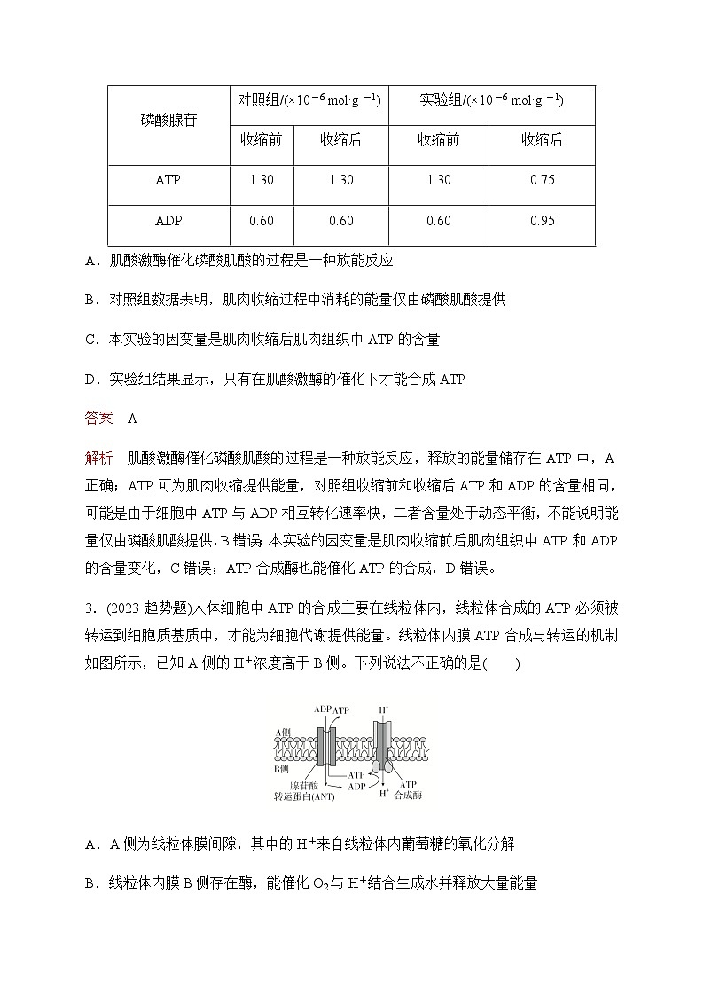 2024届高考生物考前冲刺专题训练2细胞代谢（二）含答案02