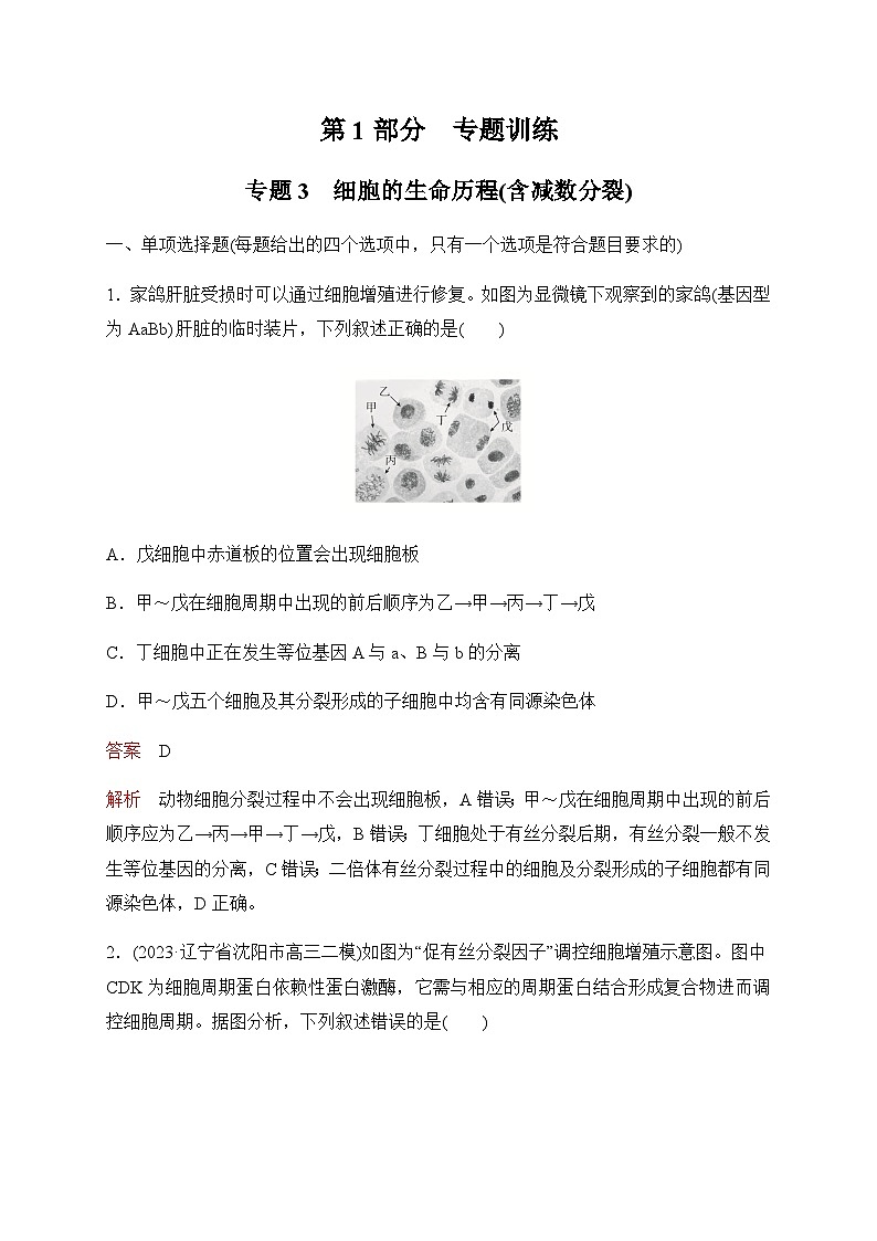 2024届高考生物考前冲刺专题训练3细胞的生命历程（含减数分裂）含答案第1页