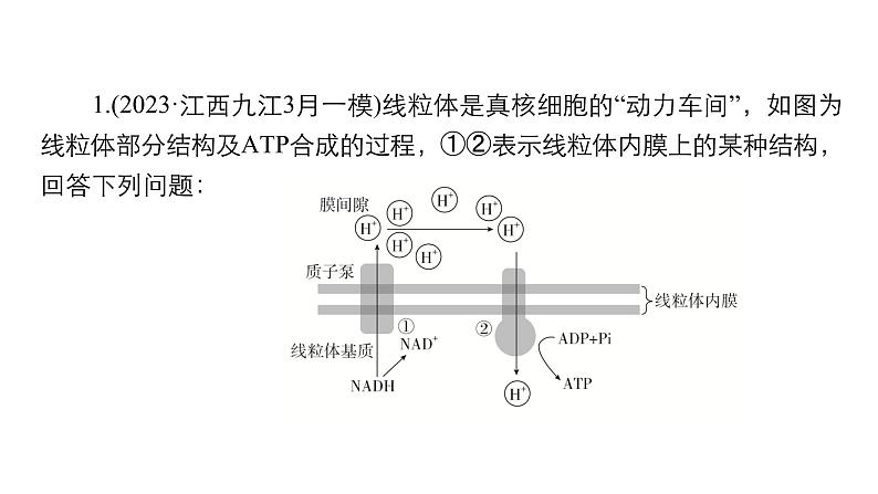 2024届高考生物考前冲刺提升练专项3非选择题5大命题点1细胞代谢课件02