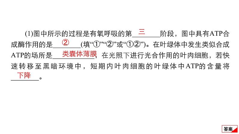 2024届高考生物考前冲刺提升练专项3非选择题5大命题点1细胞代谢课件03