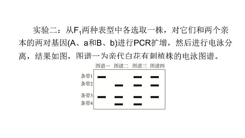 2024届高考生物考前冲刺提升练专项3非选择题5大命题点2遗传定律的应用与分析课件第7页