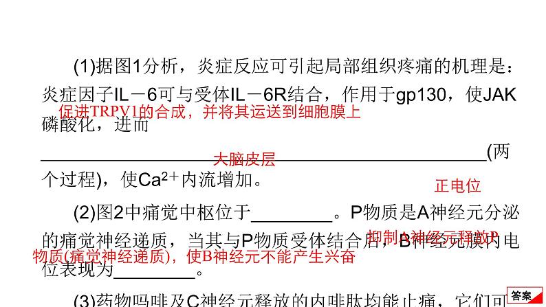 2024届高考生物考前冲刺提升练专项3非选择题5大命题点3稳态与调节课件03