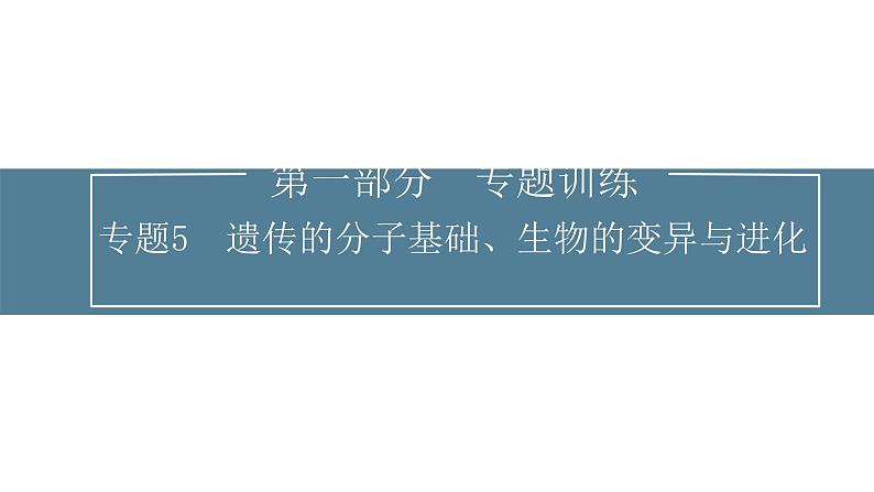 2024届高考生物考前冲刺专题训练5遗传的分子基础、生物的变异与进化课件第1页