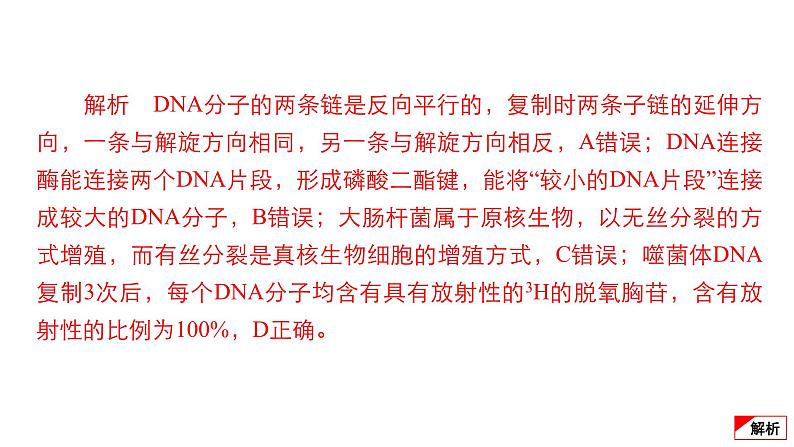 2024届高考生物考前冲刺专题训练5遗传的分子基础、生物的变异与进化课件第7页