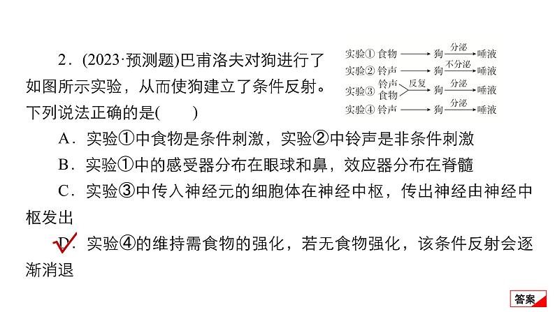 2024届高考生物考前冲刺专题训练6稳态与调节（一）课件06