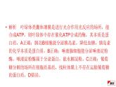 2024届高考生物考前冲刺易错训练1分子与细胞模块课件