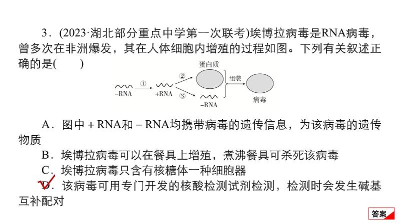 2024届高考生物考前冲刺易错训练1分子与细胞模块课件第6页