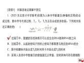 2024届高考生物考前冲刺易错训练2遗传与进化模块课件