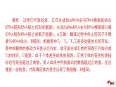 2024届高考生物考前冲刺易错训练2遗传与进化模块课件