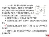 2024届高考生物考前冲刺易错训练2遗传与进化模块课件