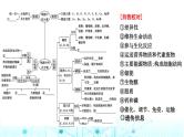 2024届高考生物考前冲刺素能提升1细胞微专题1细胞的分子组成课件