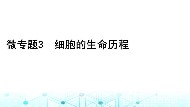 2024届高考生物考前冲刺素能提升1细胞微专题3细胞的生命历程课件第1页