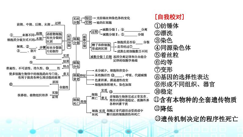 2024届高考生物考前冲刺素能提升1细胞微专题3细胞的生命历程课件第4页