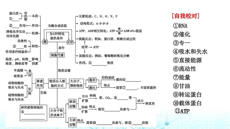 2024届高考生物考前冲刺素能提升2代谢微专题1细胞代谢的保障课件第4页