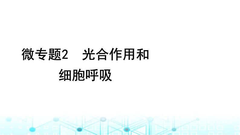 2024届高考生物考前冲刺素能提升2代谢微专题2光合作用和细胞呼吸课件01