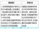 2024届高考生物考前冲刺素能提升2代谢微专题2光合作用和细胞呼吸课件