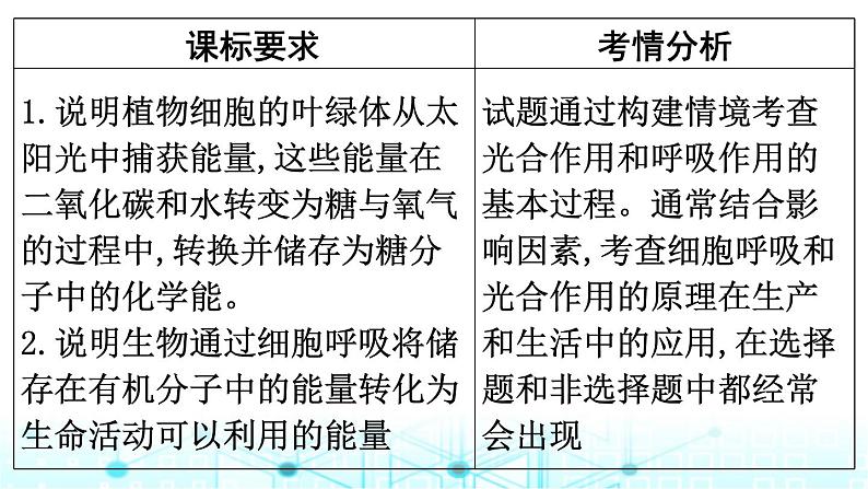 2024届高考生物考前冲刺素能提升2代谢微专题2光合作用和细胞呼吸课件02