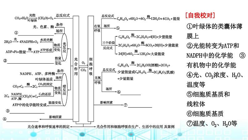 2024届高考生物考前冲刺素能提升2代谢微专题2光合作用和细胞呼吸课件04