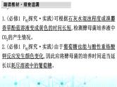 2024届高考生物考前冲刺素能提升2代谢微专题2光合作用和细胞呼吸课件